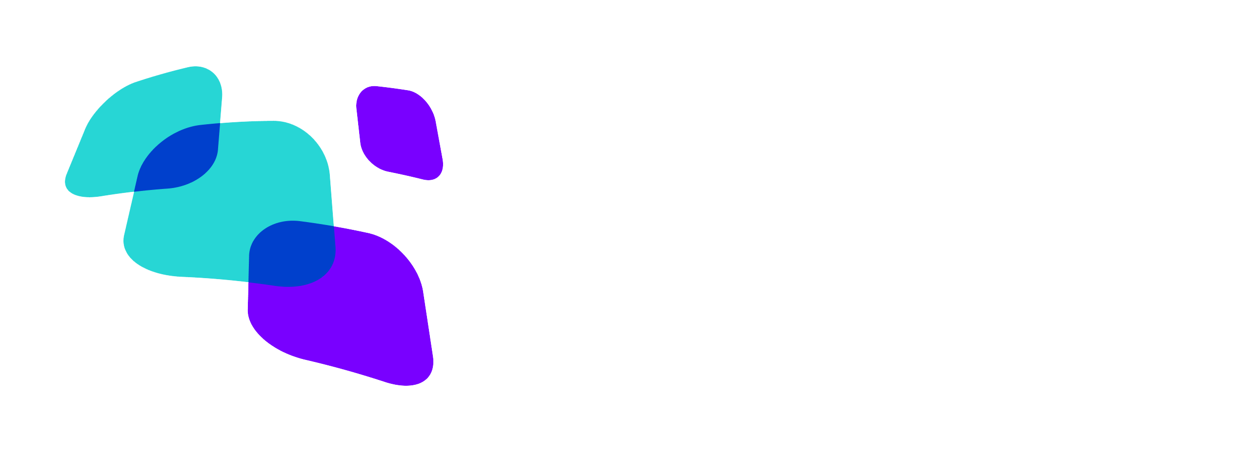 light logo